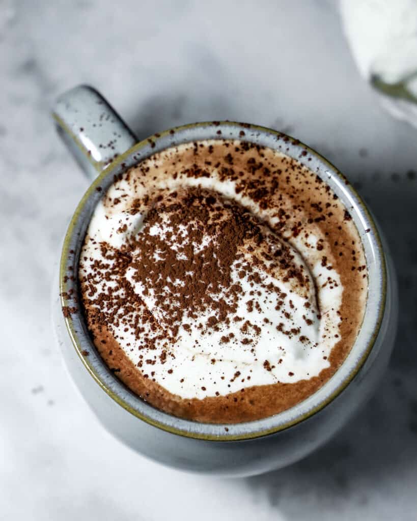 Hot chocolate in a mug with a dollop of whipped cream on top with cocoa dust