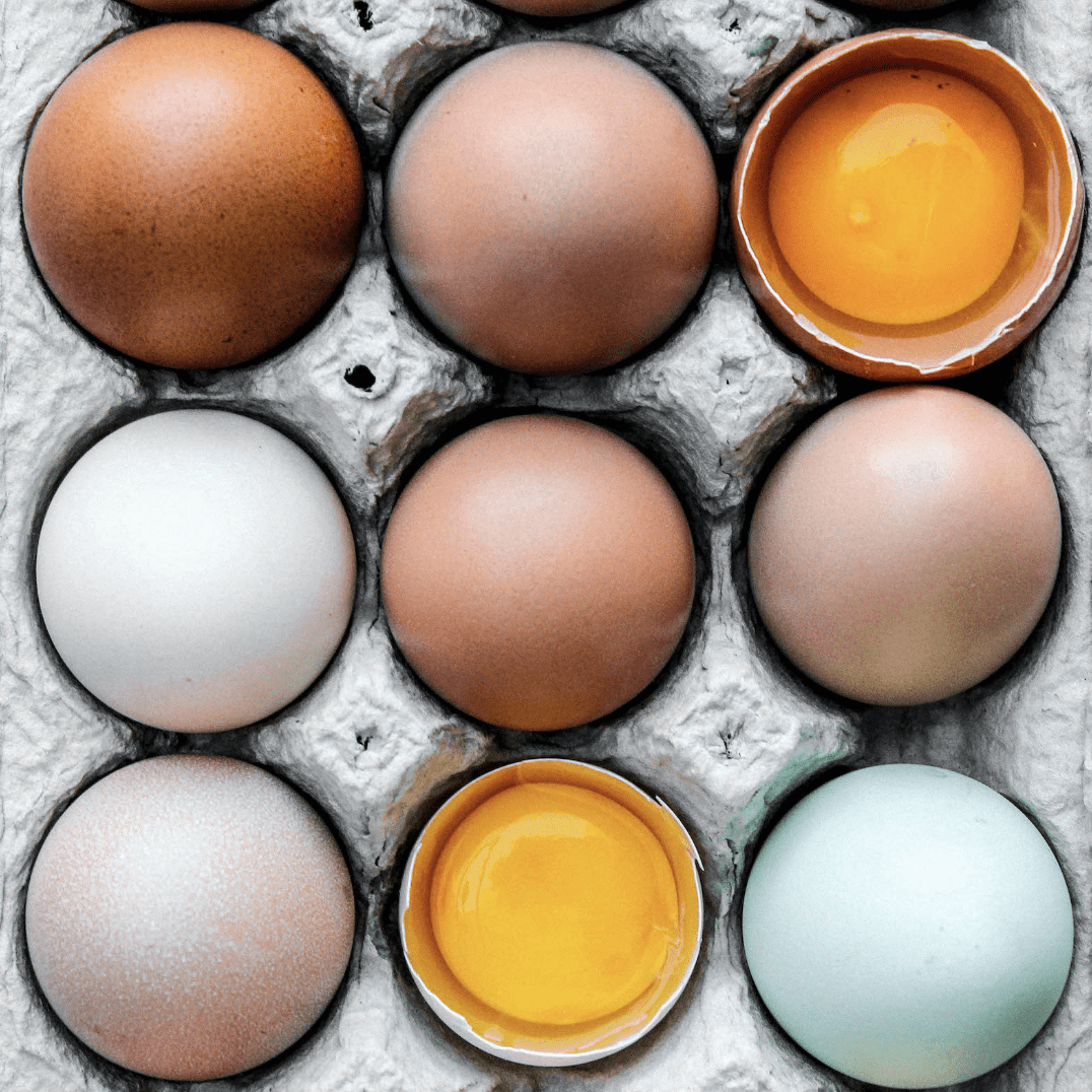 colorful pasture-raised eggs in a carton 