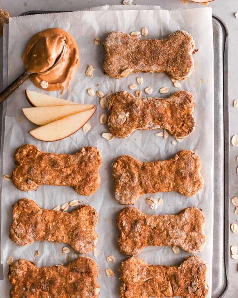 Dog treats with on sale apples