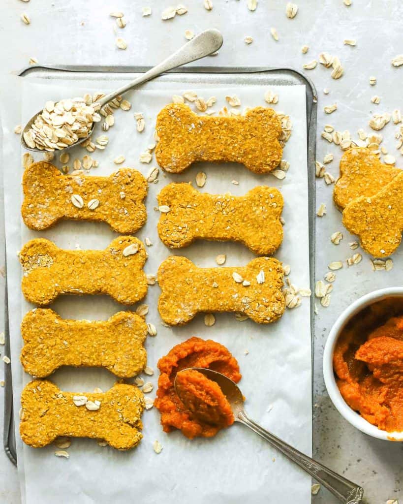 3 Ingredient Ridiculously Simple Pumpkin Dog Treats