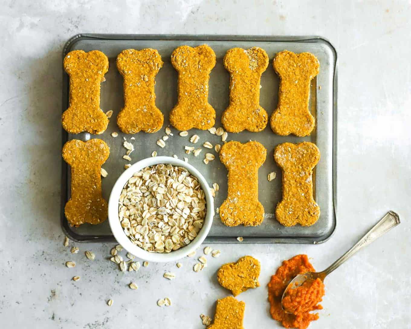 3Ingredient Pumpkin Oat Dog Treats Murmurs of Ricotta